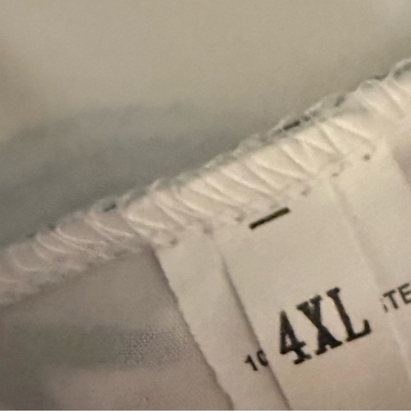 4X Floral Sleeveless V-Neck Blouse - Picture 5 of 6